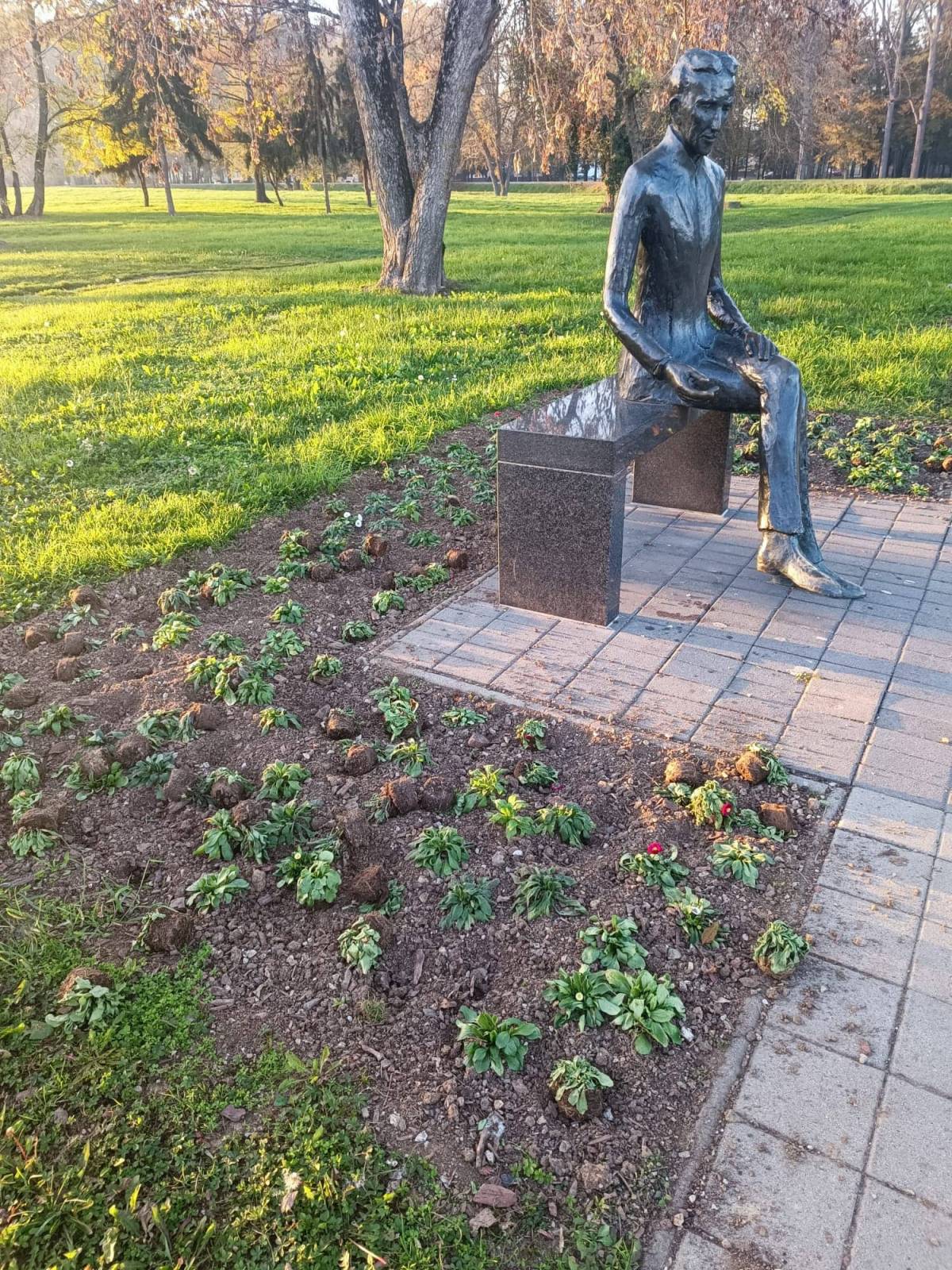 ŠTO JE OVO?! Kod spomenika Nikoli Tesli iščupane sadnice dočekuju prolaznike