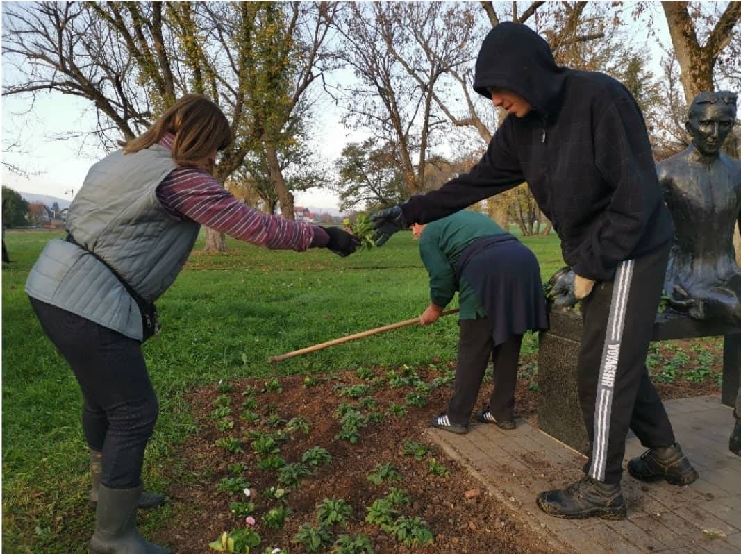 Komunalac sadi, vandali čupaju