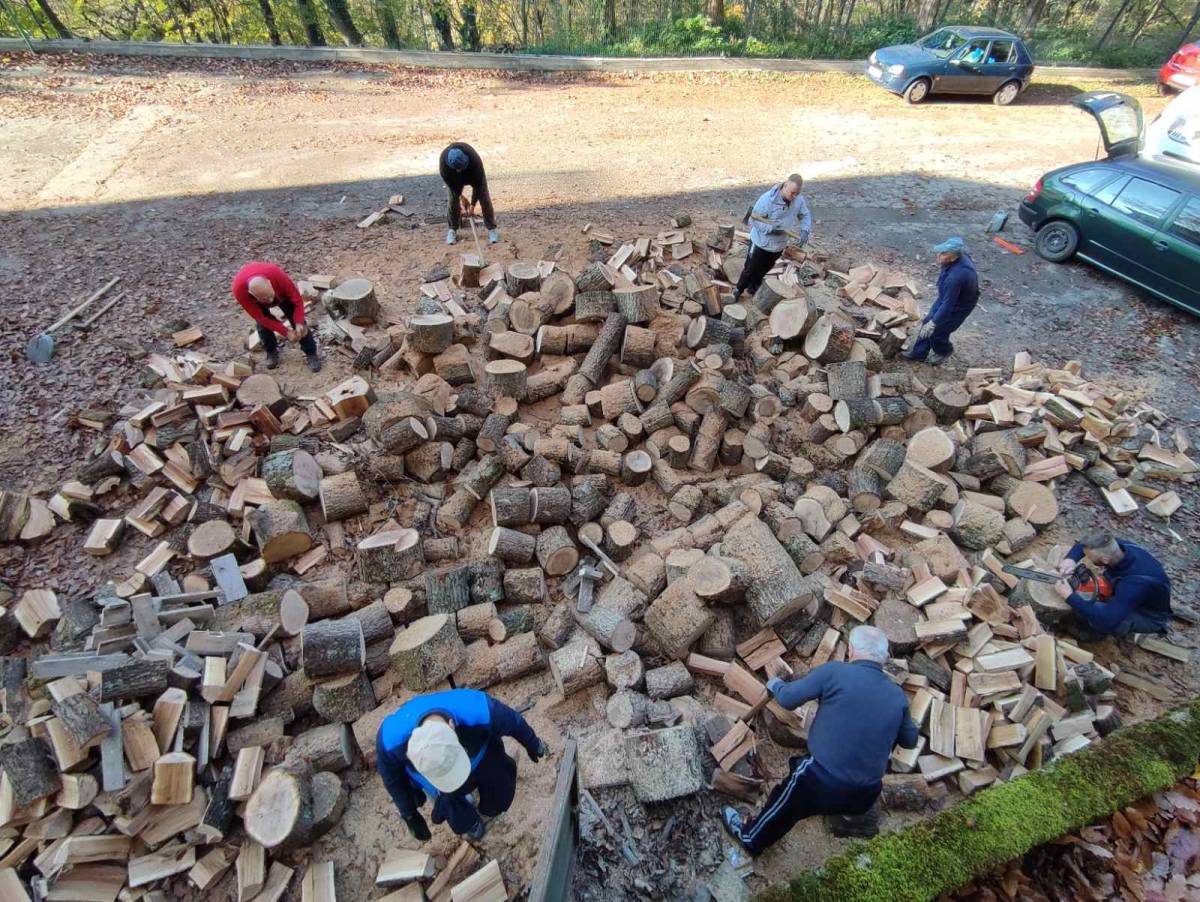 Radna akcija vrijednih članova HPD ʺSokolovacʺ Požega