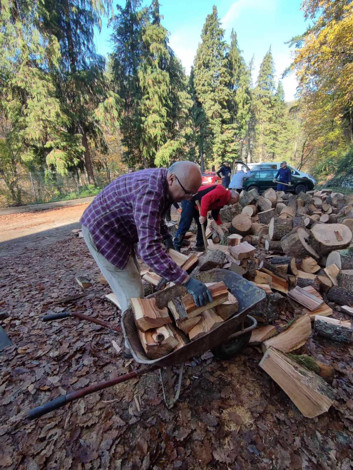 Radna akcija vrijednih članova HPD ʺSokolovacʺ Požega