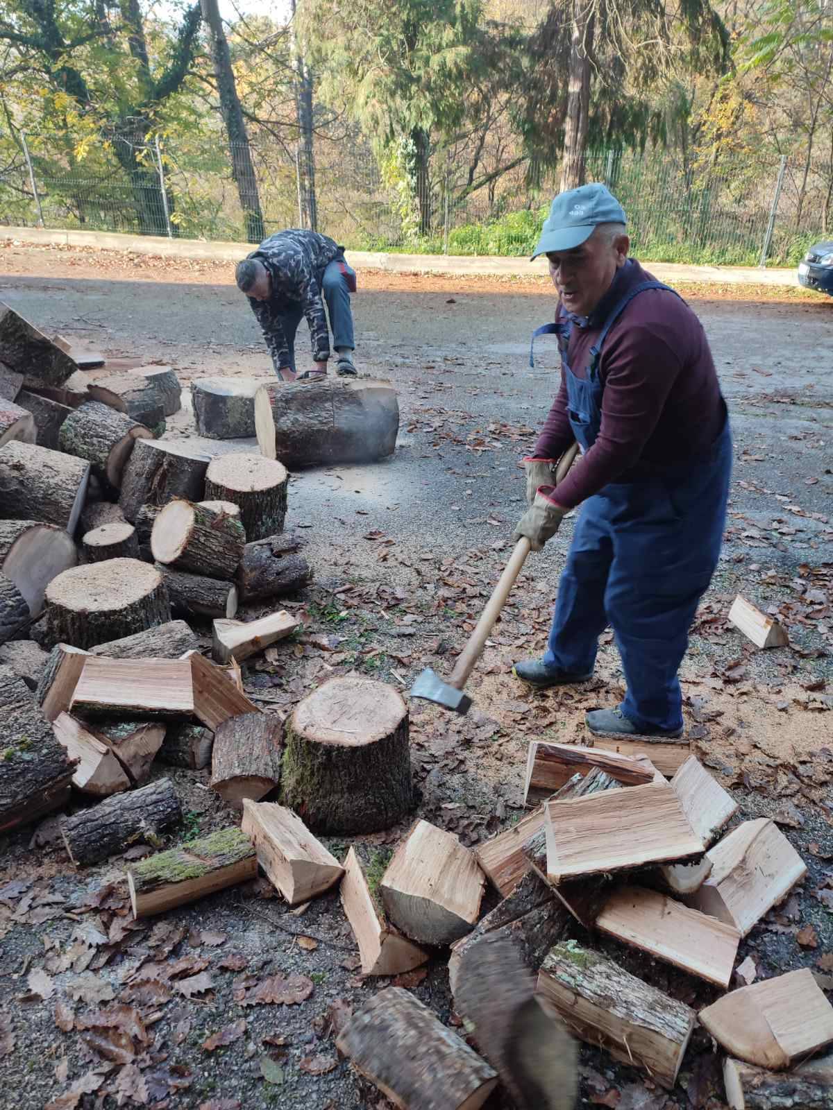 Radna akcija vrijednih članova HPD ʺSokolovacʺ Požega