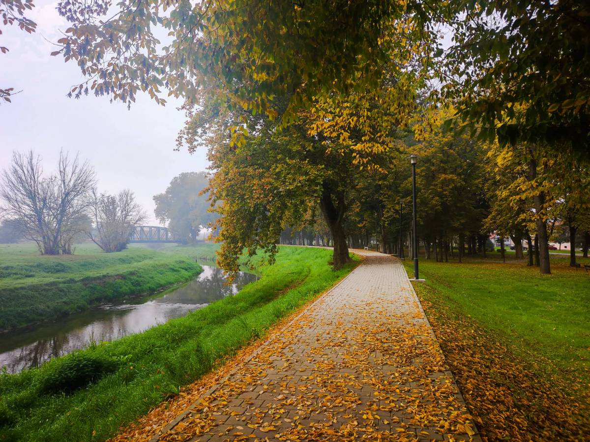 Danas pretežno oblačno s povremenom kišom