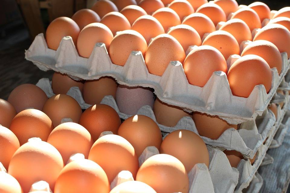 Stiže nam nestašica jaja: Cijene bi mogle biti više i za 40 posto