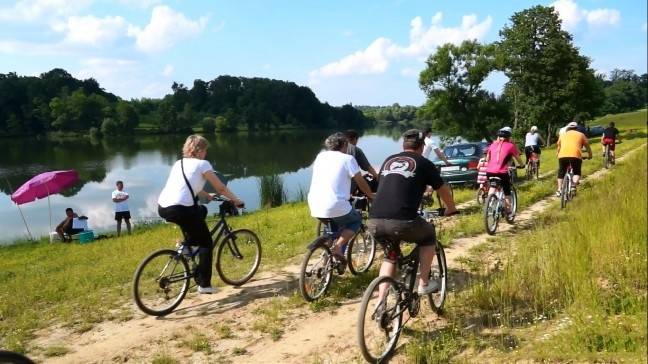 Stazama lipicanca i kune