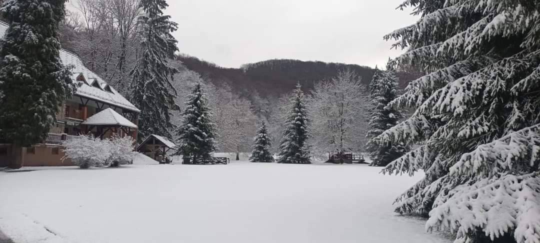 ZA LJUBITELJE SNIJEGA: Na Jankovcu je trenutno prava snježna idila