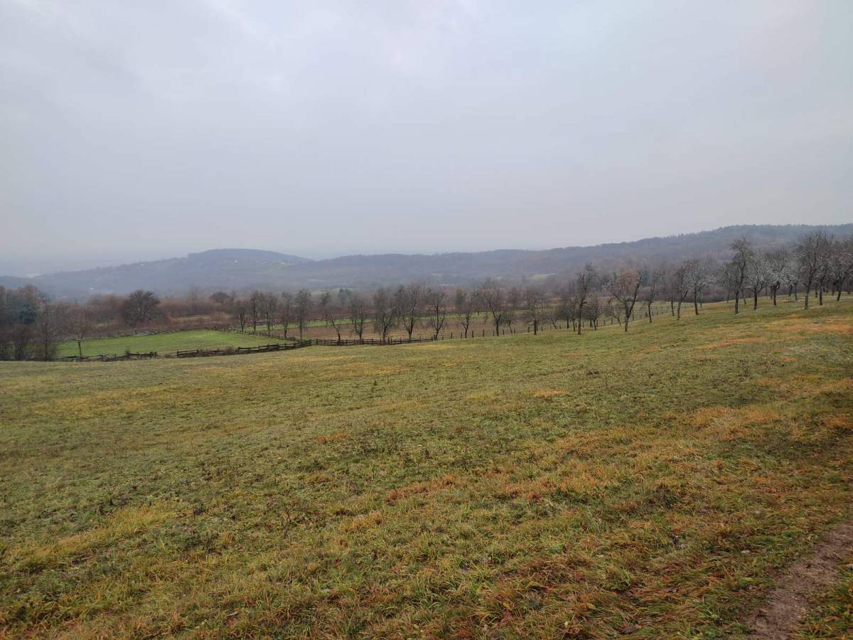 HPD Sokolovac: 26. Memorijalni planinarski pohod ʺFokinom stazom 1991ʺ