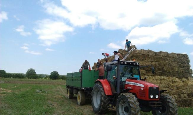 Strategija se radi u tišini, tako da ni seljaci ne znaju da je u izradi