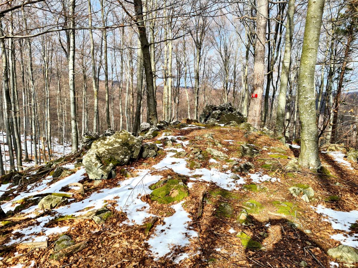 Planinari HPD Gojzerica Požega na izletu na najviši vrh Slavonije na Psunju - Brezovo polje