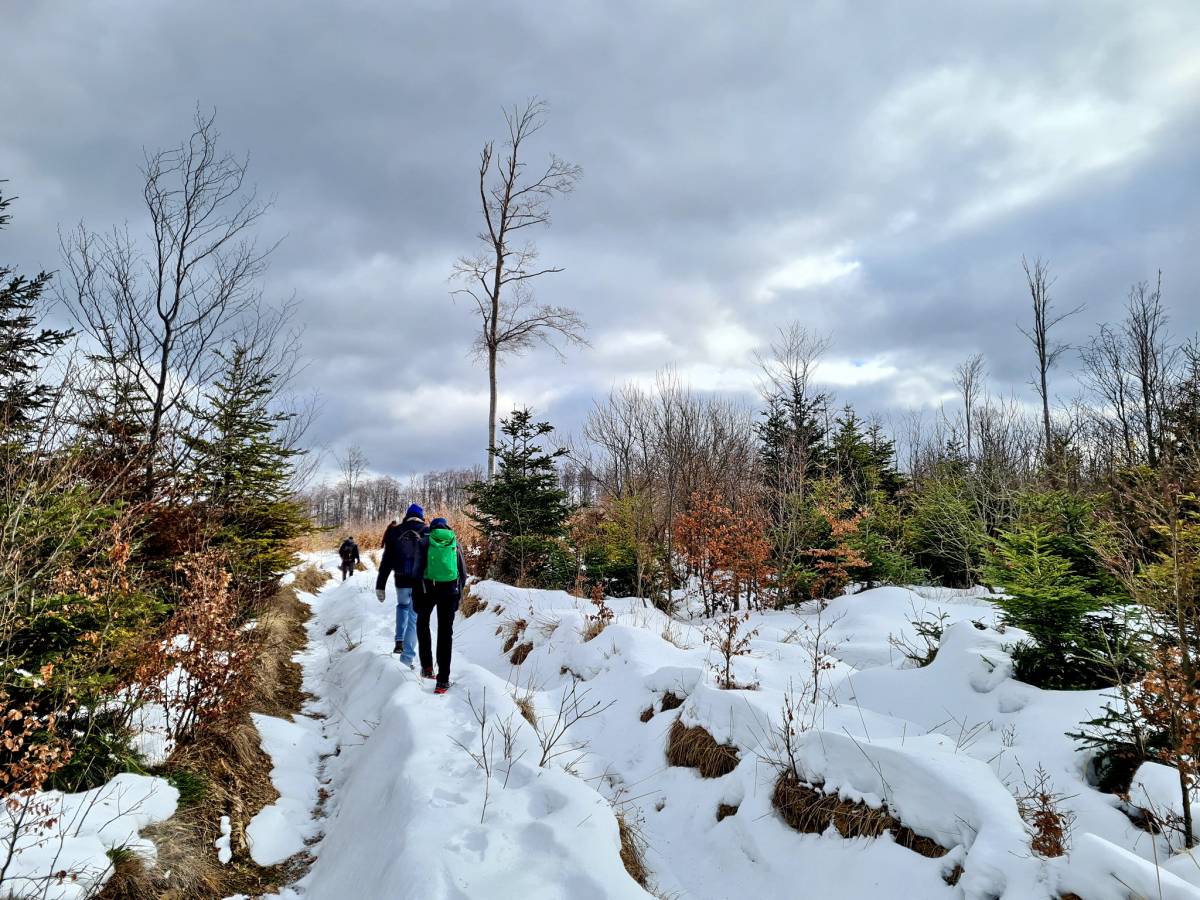 Planinari HPD Gojzerica Požega na izletu na najviši vrh Slavonije na Psunju - Brezovo polje