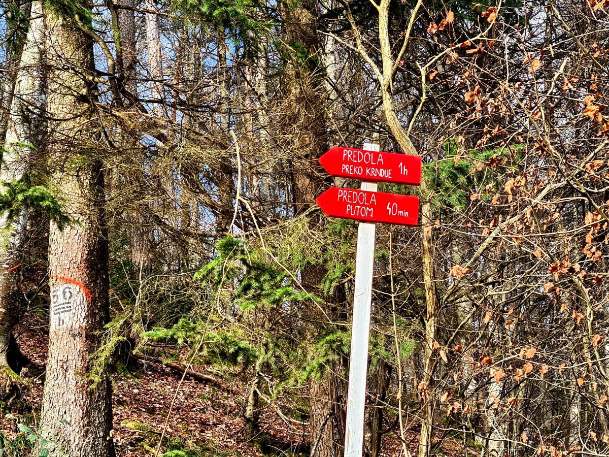 Planinari HPD Gojzerica Požega na izletu na najviši vrh Slavonije na Psunju - Brezovo polje