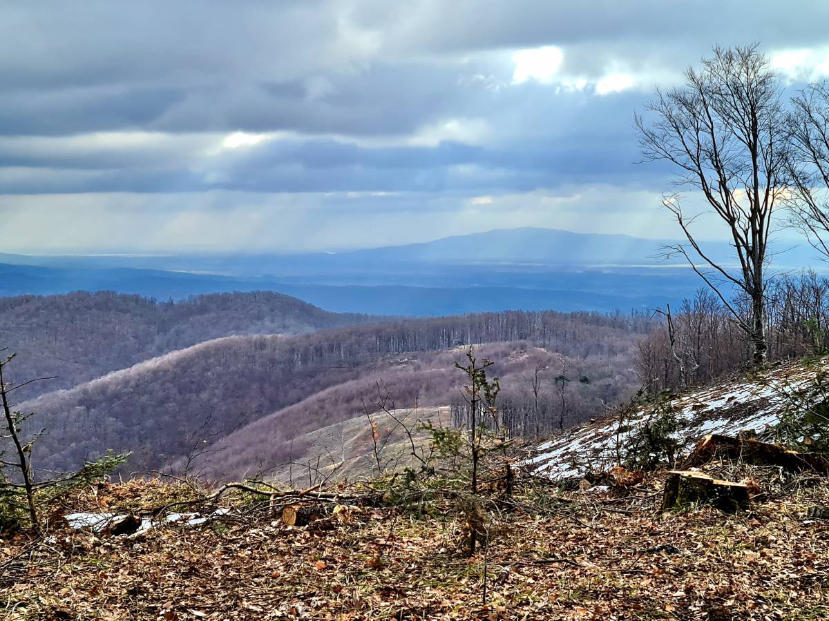 Planinari HPD Gojzerica Požega na izletu na najviši vrh Slavonije na Psunju - Brezovo polje