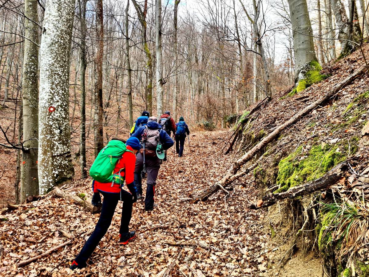 Planinari HPD Gojzerica Požega na izletu na najviši vrh Slavonije na Psunju - Brezovo polje