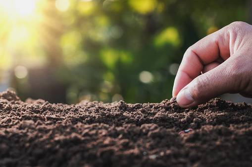 Alarmantno: Hoće li nam njive postati neplodne, humusa sve manje u tlu?