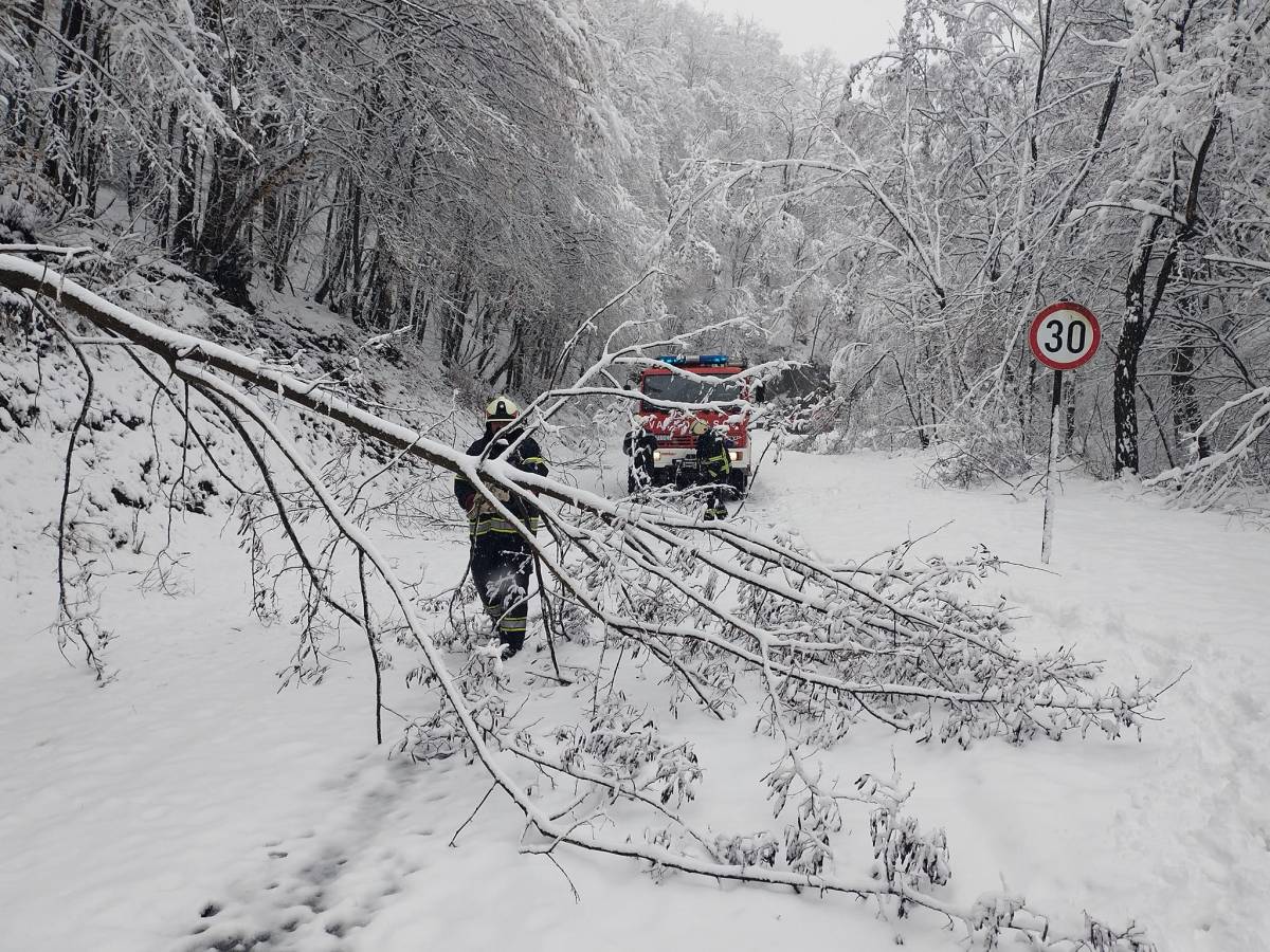 Zbog srušenog drveća i snijega zatvorena ŽC Kutjevo-Petrov Vrh-Orahovica
