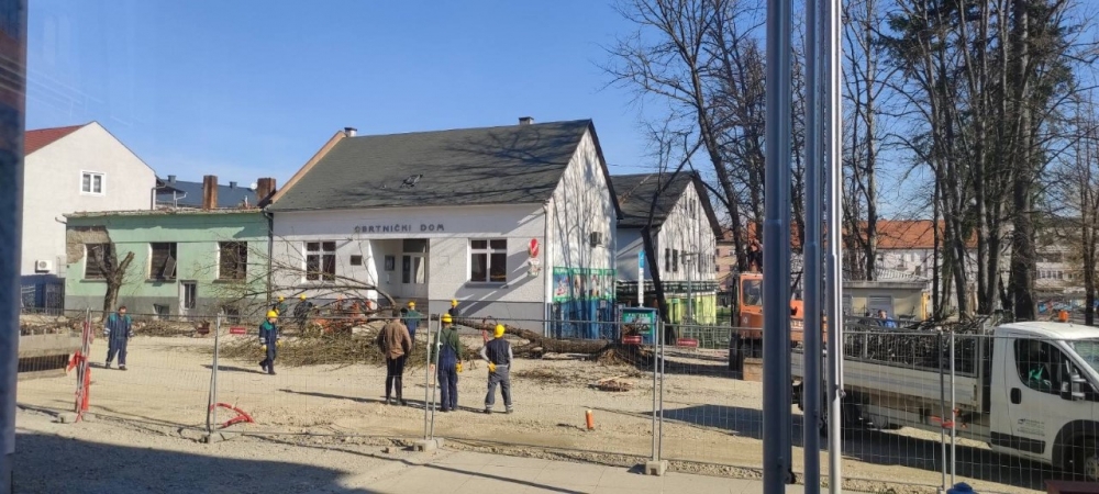 Grad Požega stanarima obećao da neće dirati stabla u ulici dr. F. Tuđmana, a danas ih ruše!