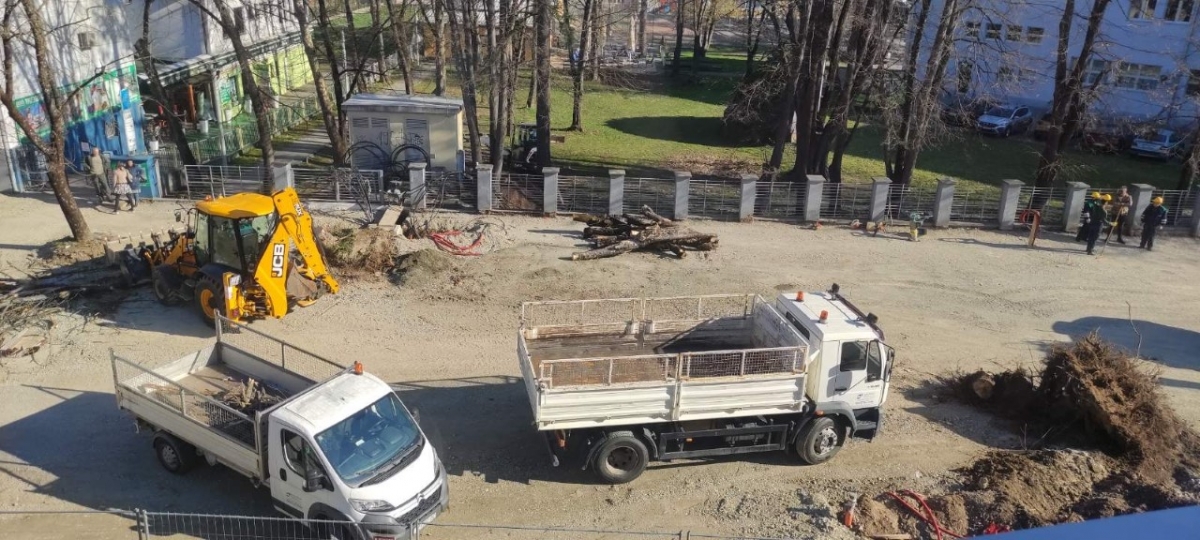 Grad Požega stanarima obećao da neće dirati stabla u ulici dr. F. Tuđmana, a danas ih ruše!