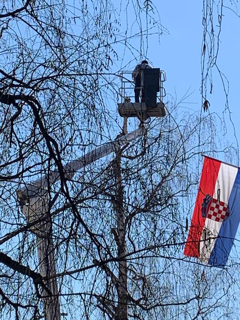 Grad Požega stanarima obećao da neće dirati stabla u ulici dr. F. Tuđmana, a danas ih ruše!
