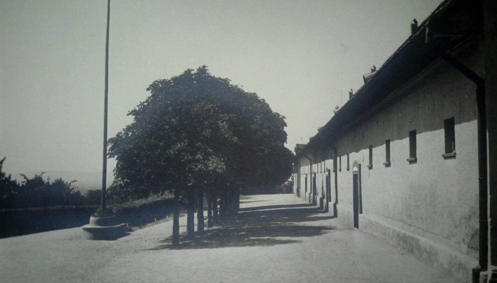 Pastuharna Kutjevo prije 131 godinu imala je 200 pastuha