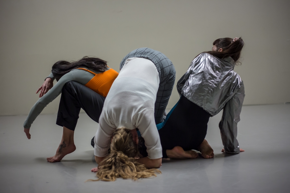 PLESNA RADIONICA ILIJANE LONČAR: Najava gostovanja zagrebačkog Studija za suvremeni ples u povodu obilježavanja Svjetskog dana plesa