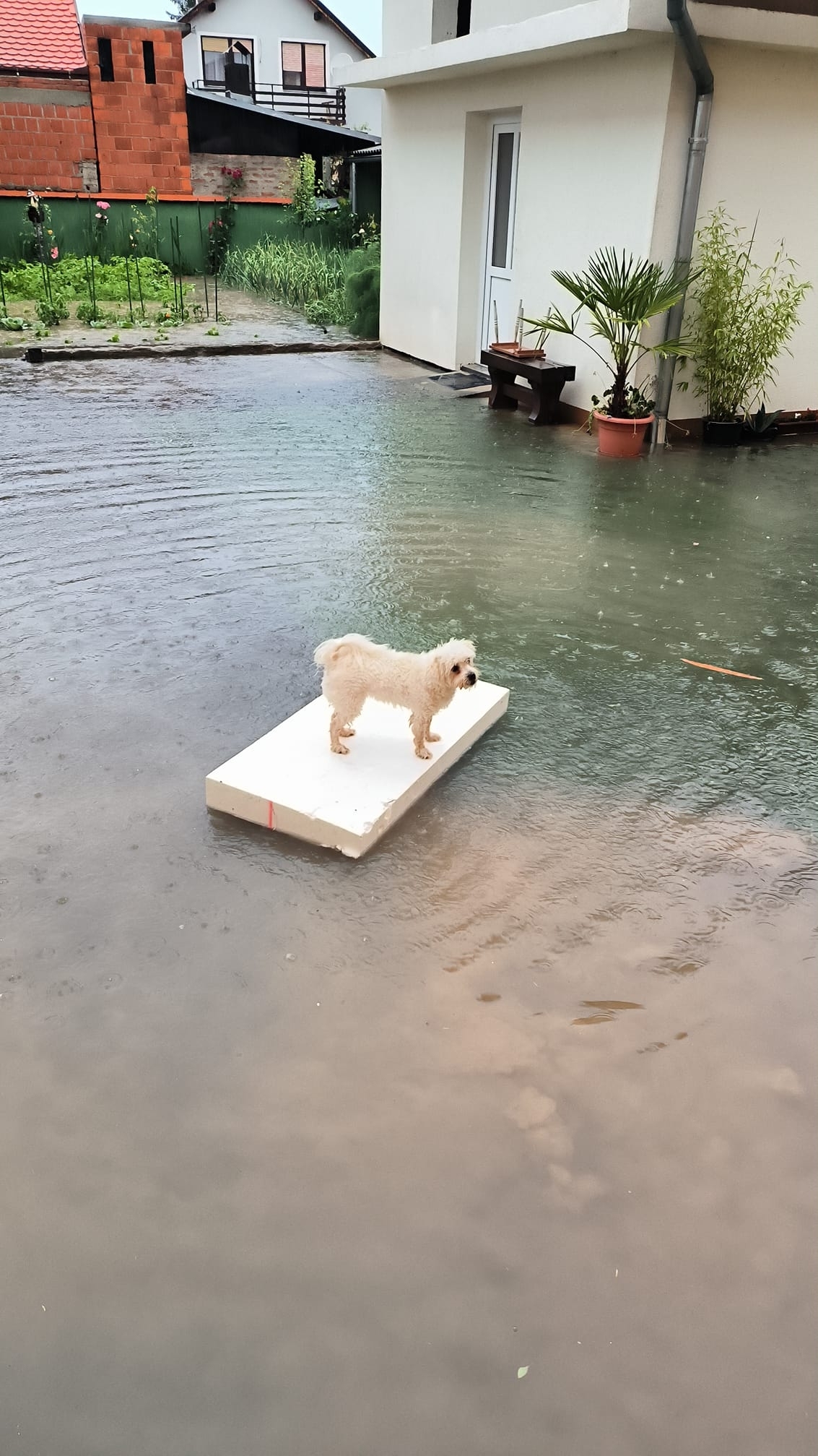 Nove poplave, stara priča: Tko je odgovoran?