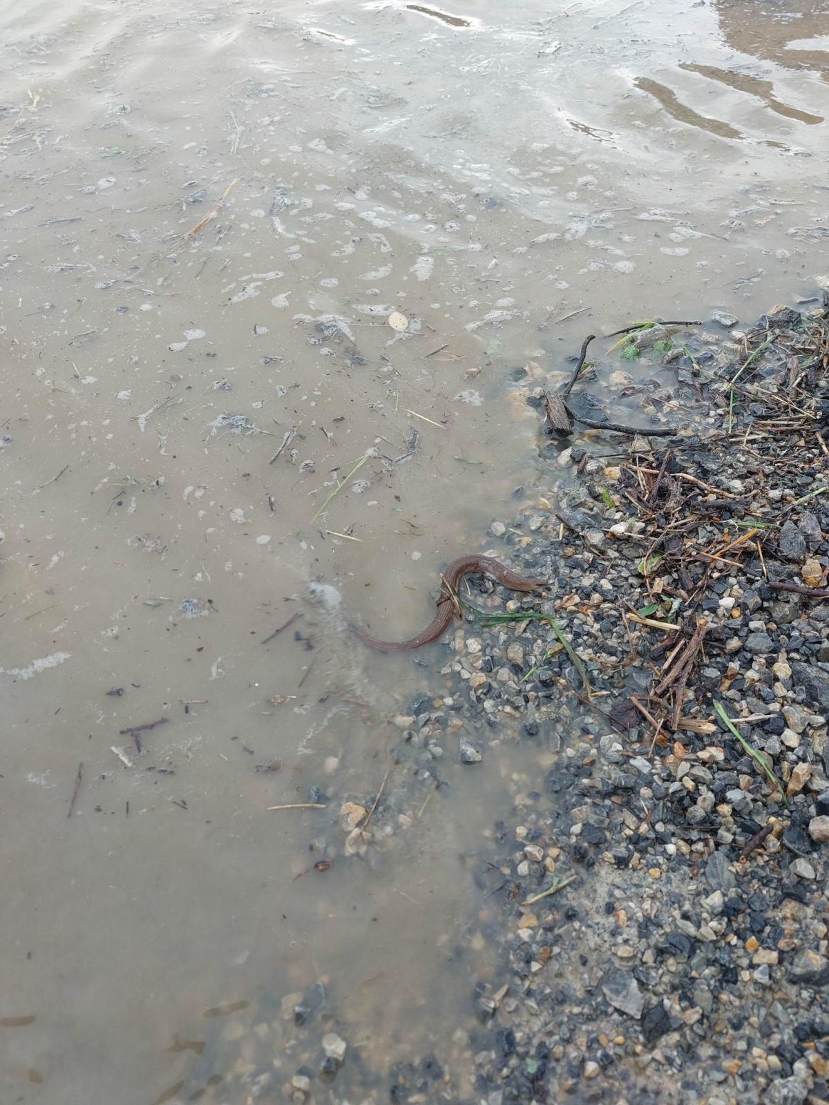 KAKO ŽIVE STANOVNICI FRKLJEVACA I KADANOVACA?? Očajni su i prepušteni sami sebi...