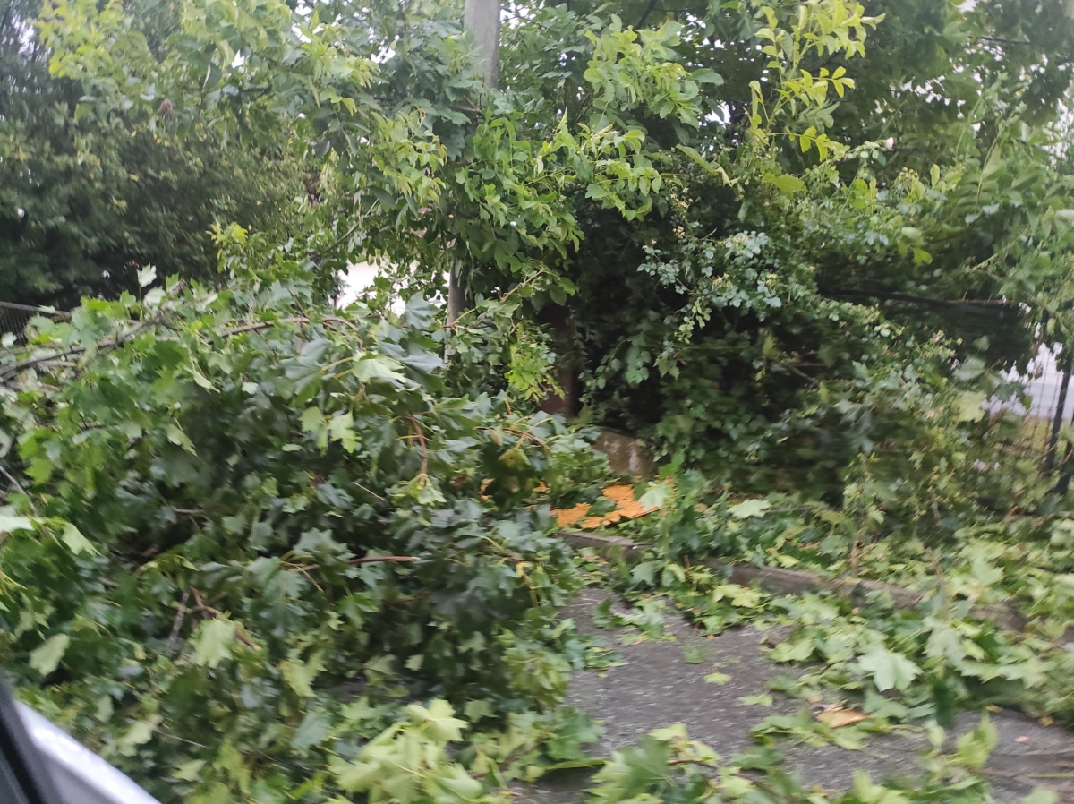 Pleternica i okolica teško stradali u nevremenu, prizori su apokaliptični