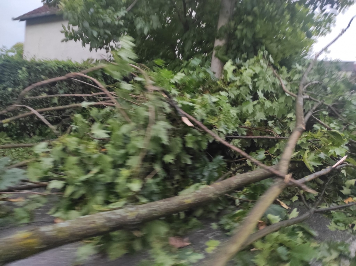 Pleternica i okolica teško stradali u nevremenu, prizori su apokaliptični