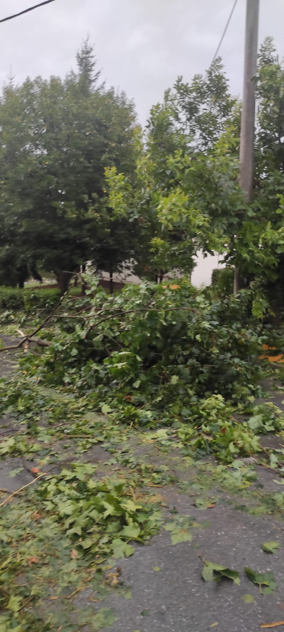 Pleternica i okolica teško stradali u nevremenu, prizori su apokaliptični