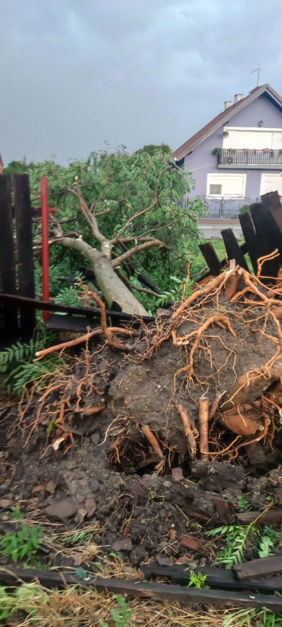 Pleternica i okolica teško stradali u nevremenu, prizori su apokaliptični