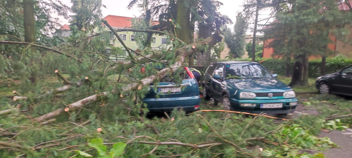 Pleternica i okolica teško stradali u nevremenu, prizori su apokaliptični