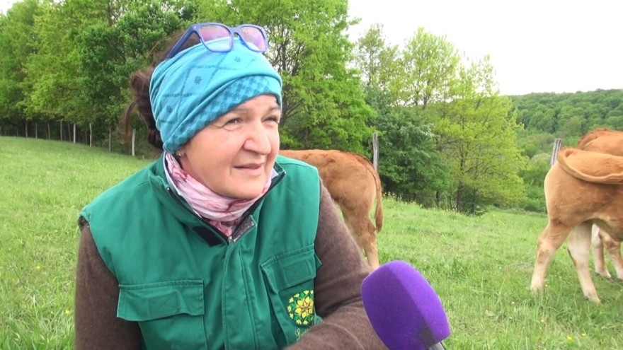 Dobila poticaj za 30-ak hektara pšenice, izmalčirala ju, pa poručila:”Dođite se najesti ako ste gladni…”