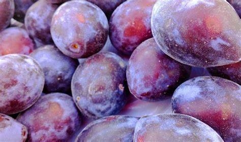 Voćari se čude: Kilogram šljive na tržnicama i do 5 eura, a evo koja je otkupna cijena