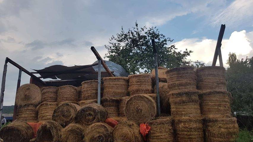 Olujno nevrijeme poharalo cijelu Požeštinu, poljoprivrednici zbrajaju štetu