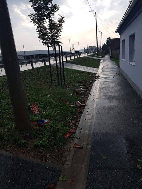 Olujno nevrijeme poharalo cijelu Požeštinu, poljoprivrednici zbrajaju štetu