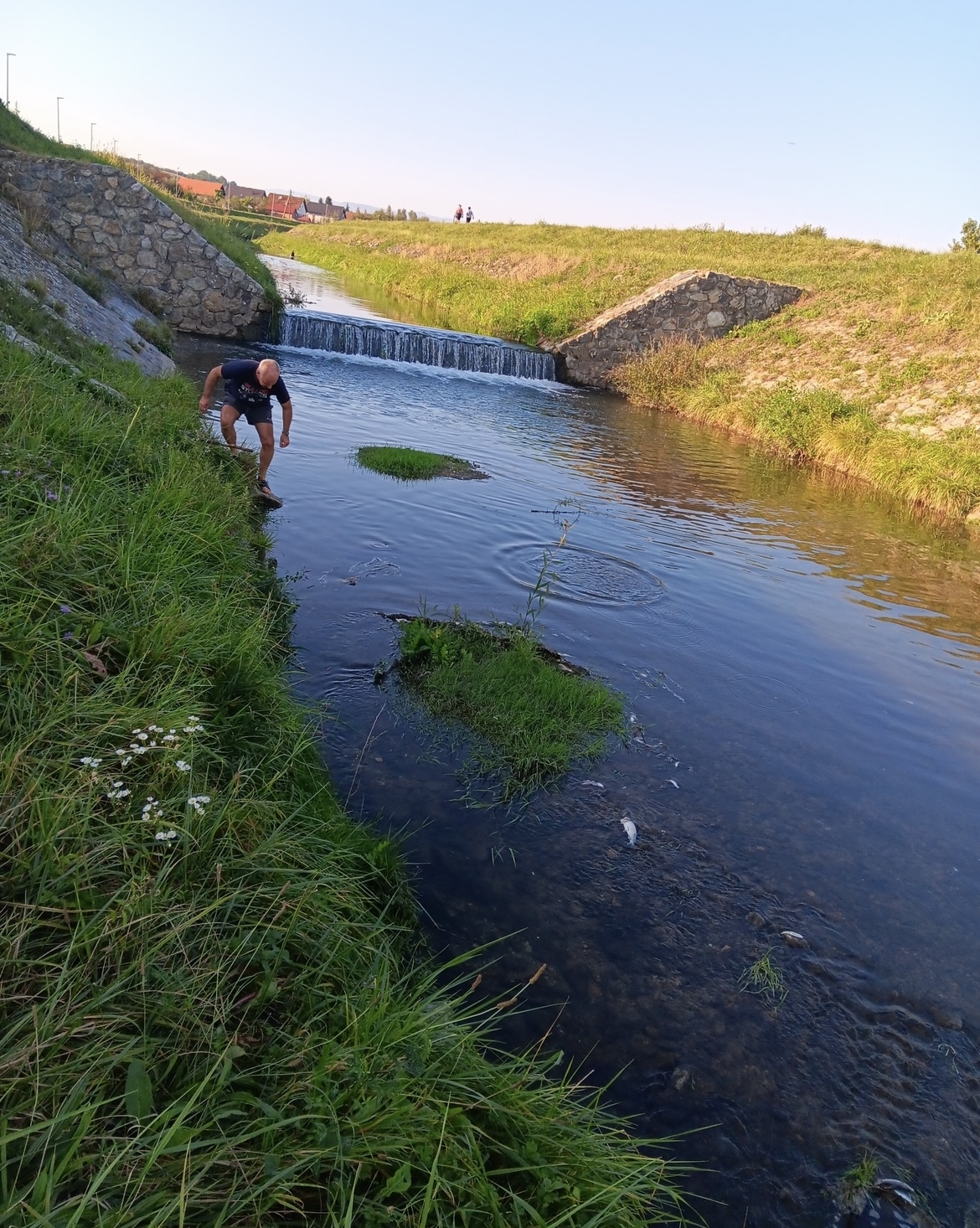 UŽAS: Pomor riba u Veličanki