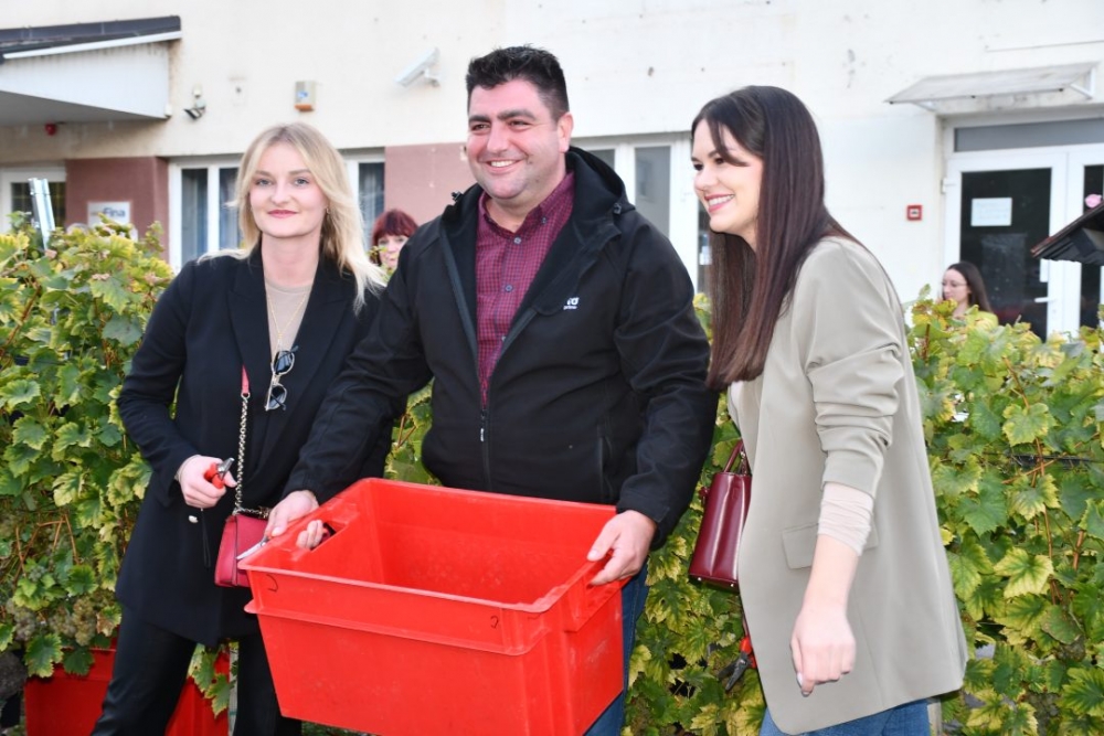 FOTO: Berbom vinograda na Trgu graševine vinari obilježili završetak berbe grožđa