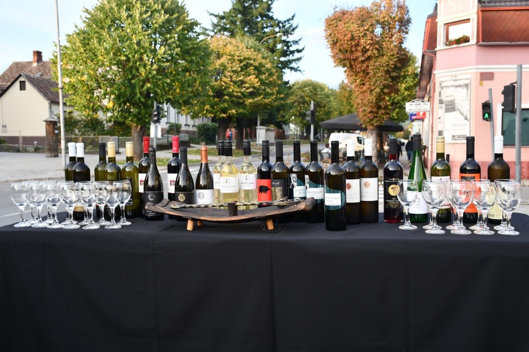 FOTO: Berbom vinograda na Trgu graševine vinari obilježili završetak berbe grožđa