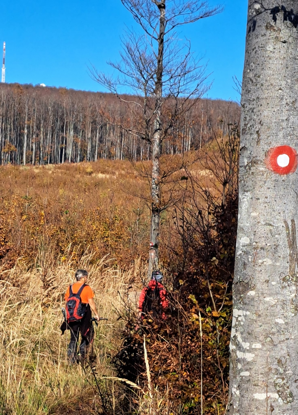 Planinari HPD-a ’Sokolovac’ u pohodu na najviši vrh Slavonije
