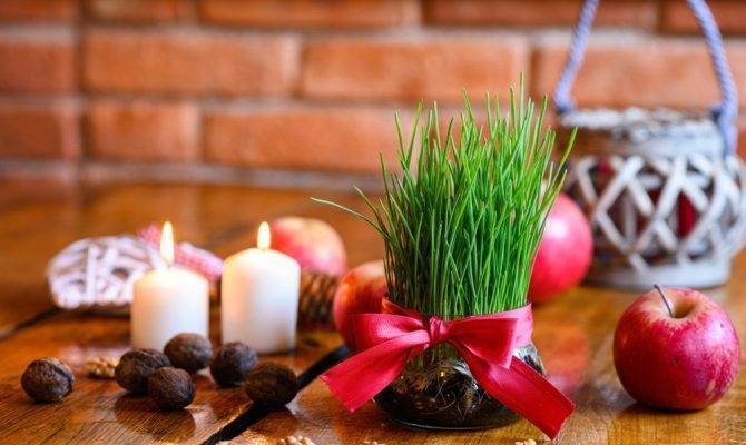 Božićna pšenica: Posijati ju na Barbaru ili na Luciju?