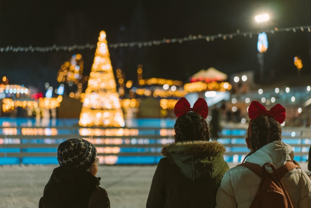 Jelena Rozga, Danijela Martinović, Miroslav Škoro, Halid  Bešlić i ostale zvijezde stižu u Nininu čarobnu Shhhumu!