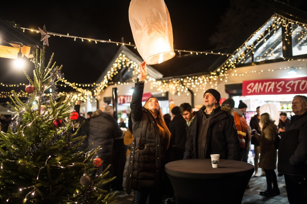 Jelena Rozga, Danijela Martinović, Miroslav Škoro, Halid  Bešlić i ostale zvijezde stižu u Nininu čarobnu Shhhumu!
