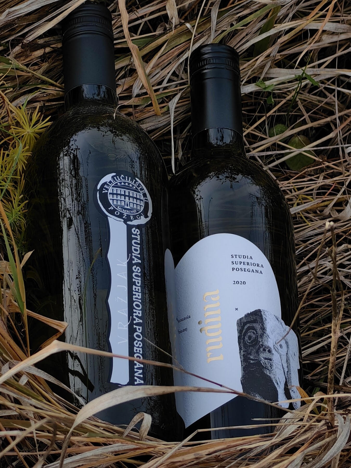 TELEGRAM: Biskup Škvorčević zahtijevao promjenu imena vina ’Vražjak’’