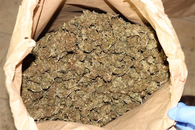 REKORDNA ZAPLJENA: U pretrazi pronađeno preko 890 kilograma konoplje s ukupno većim sadržajem THC-a od zakonom propisanog