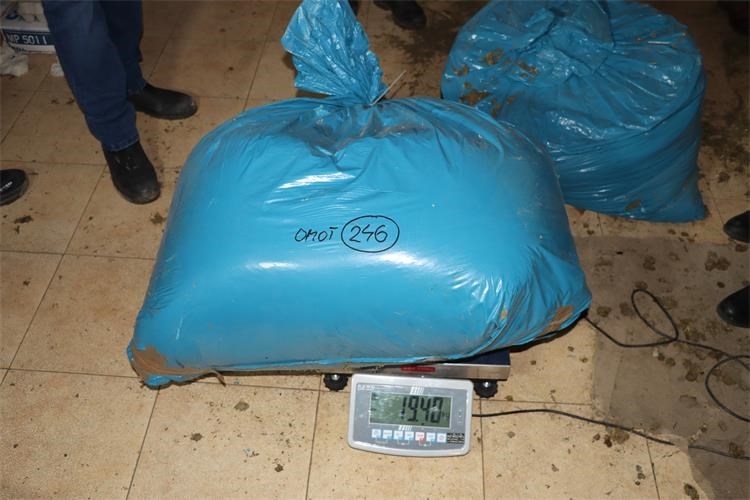 REKORDNA ZAPLJENA: U pretrazi pronađeno preko 890 kilograma konoplje s ukupno većim sadržajem THC-a od zakonom propisanog