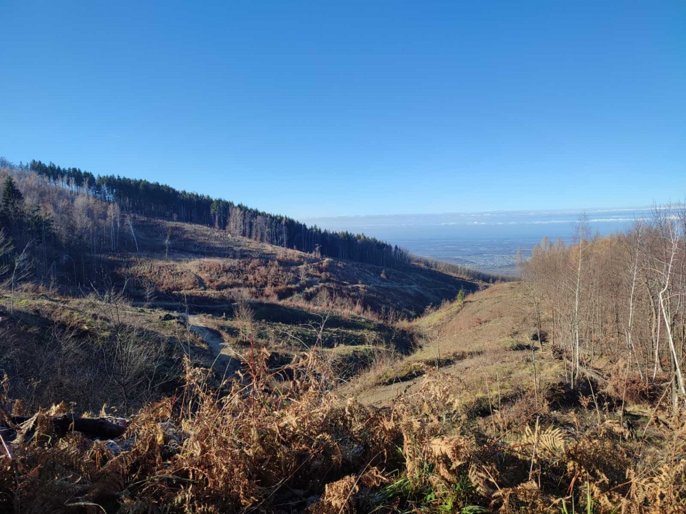 Planinari HPD ’Sokolovac’ Požega pohodili Fokinu stazu