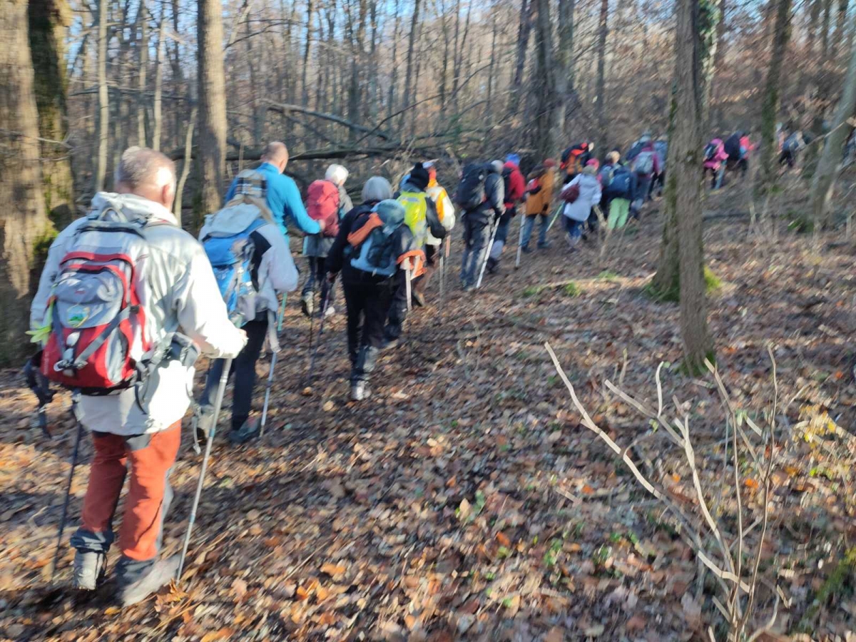 Planinari HPD ’Sokolovac’ Požega pohodili Fokinu stazu