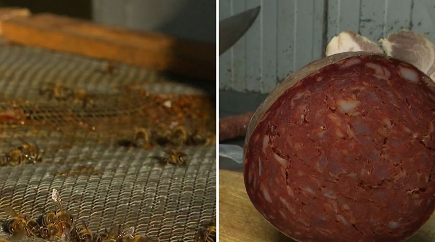 KLIMATSKE PROMJENE: Dok mi uživamo u proljeću usred zime, pčele umiru, meso se kvari, a voćke cvatu