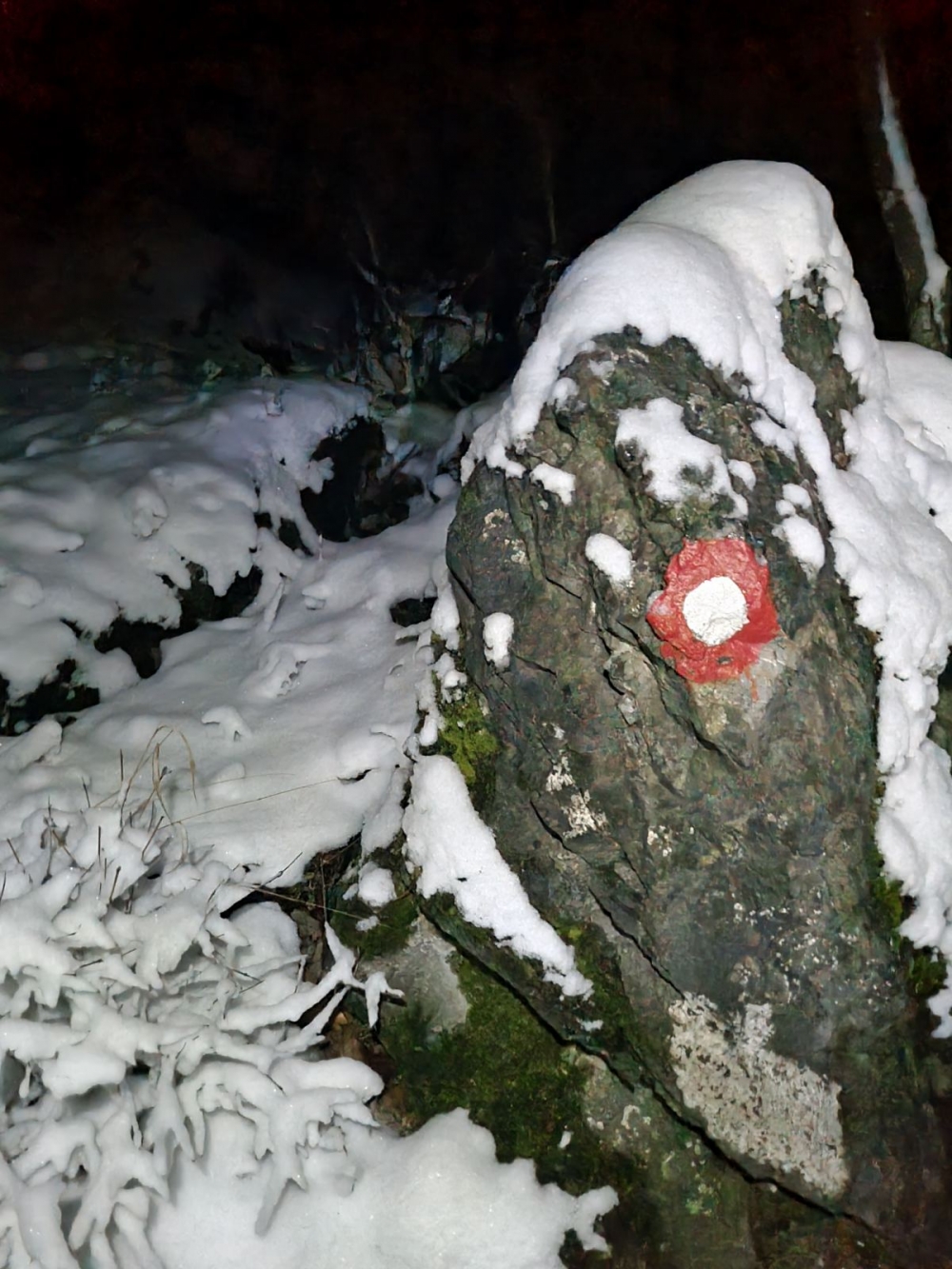 FOTO: HPD Gojzerica - Noćni izlet na Mališćak 