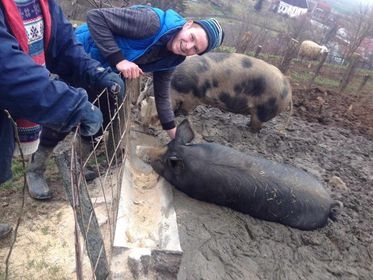 Na imanju mladog Antonija iz Golo Brda pravo je malo životinjsko carstvo: ’Sve se stigne kad ima volje!’