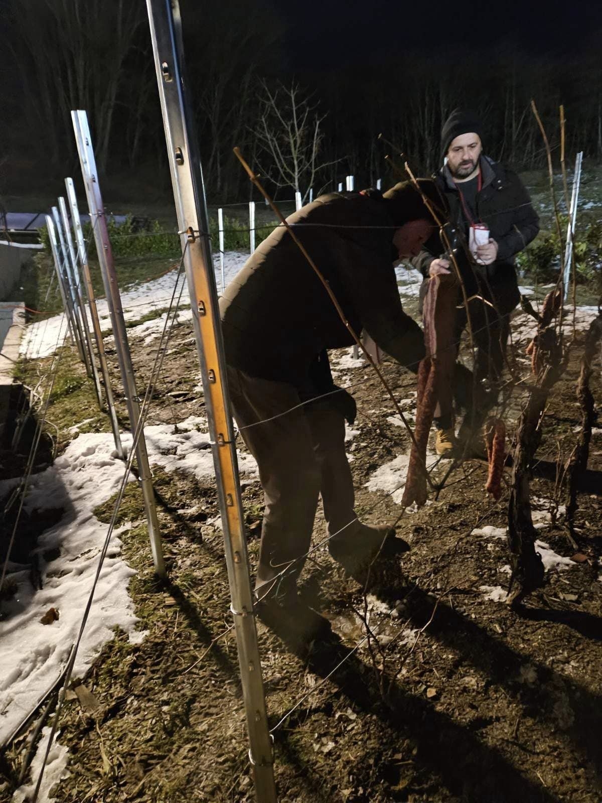 Održano 31. Vinkovo u Velikoj